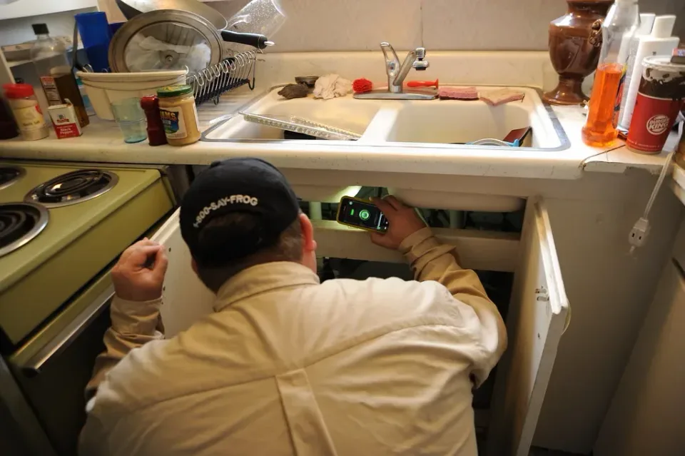 Pest Control Technician — Residential Service — Pest Control Technician, Baseball Cap, Smartphone, Pest Control, Pest Contro…